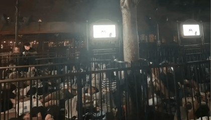 疯抢!上线即秒光!有人通宵排队14小时,二手价已暴涨好几倍……