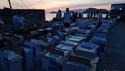 案值逾500万 福建宁德查获一起涉嫌走私香烟案