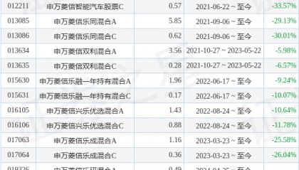 申万菱信智能驱动股票A基金经理变动:增聘付娟为基金经理