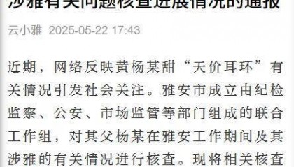 黄杨钿甜父亲被立案调查，两大问题浮出水面