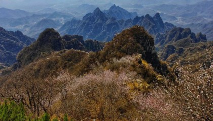 张明、王喆、陈胤默 | 三大数字货币的比较分析:比特币、天秤币与数字人民币