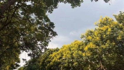 陕西最低13℃！西安5-6级阵风来袭，9月7-8日全省大部小到中雨上线，抓紧晾晒