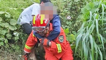 郴州800斤疯牛跑出后顶着屠宰工人一路上山又撞下山,已被击毙