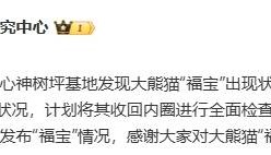 中国大熊猫保护研究中心回应“‘福宝’出现状况异常”：正密切观察其状况，计划将其收回内圈进行全面检查
