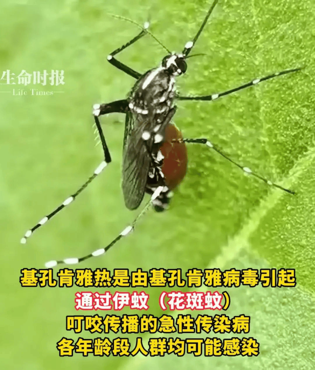 最新警报！此地确诊3195例！发现这种情况立即就医