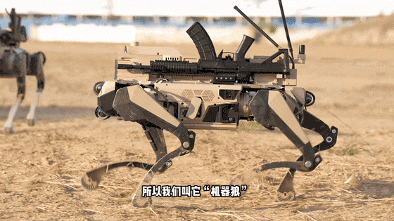 再说一遍，不是“机器狗”！