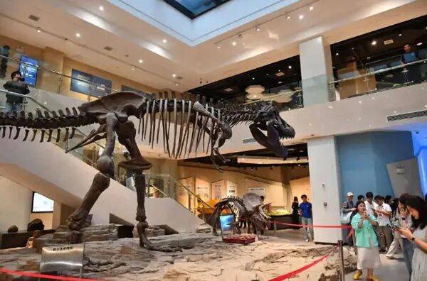 【国内新闻】校馆弦歌丨中南大学地质博物馆：追寻地质报国足迹