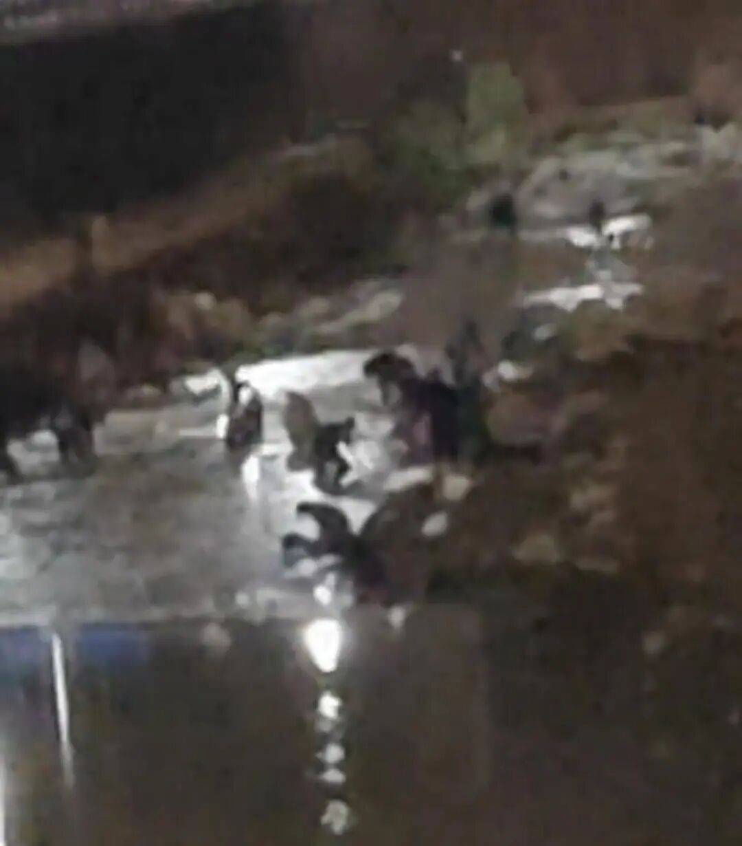 “一盆就出了5克多”！甘肃一河道现淘金潮，有人凌晨冒严寒淘金！此前政府明令禁止