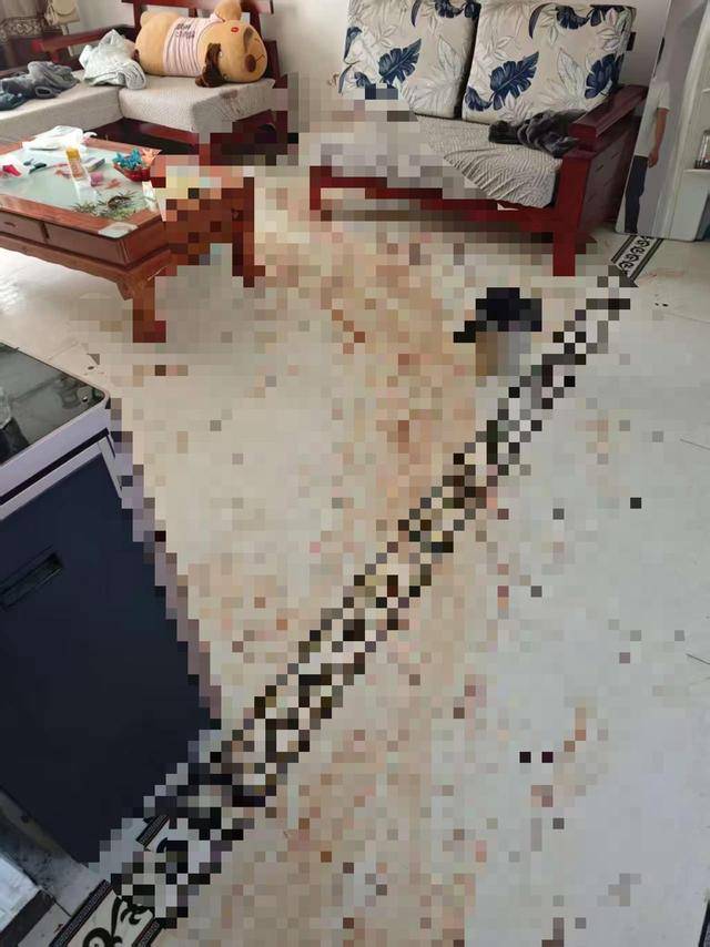 “女子出租屋遭男友持刀杀害”案明日开庭，家属发声：凶手从未道歉，我们不会谅解