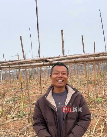 终于被你们偷完了！农场老板笑嘻嘻宣布“自助偷甘蔗”活动结束，自称要下班回家睡瞌睡