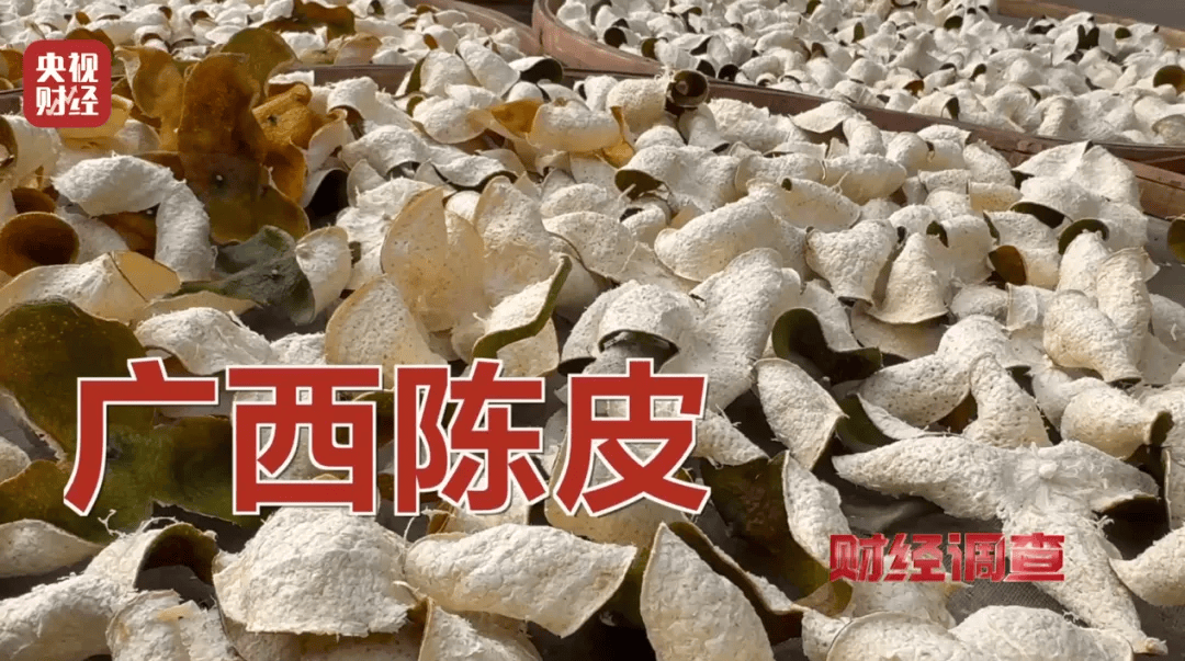 广西浦北凌晨通报——