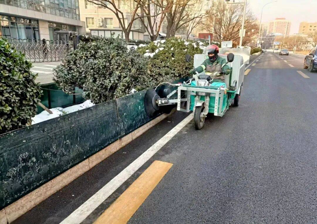北京绿化带里用了二十年的板子,今冬“下岗”了——