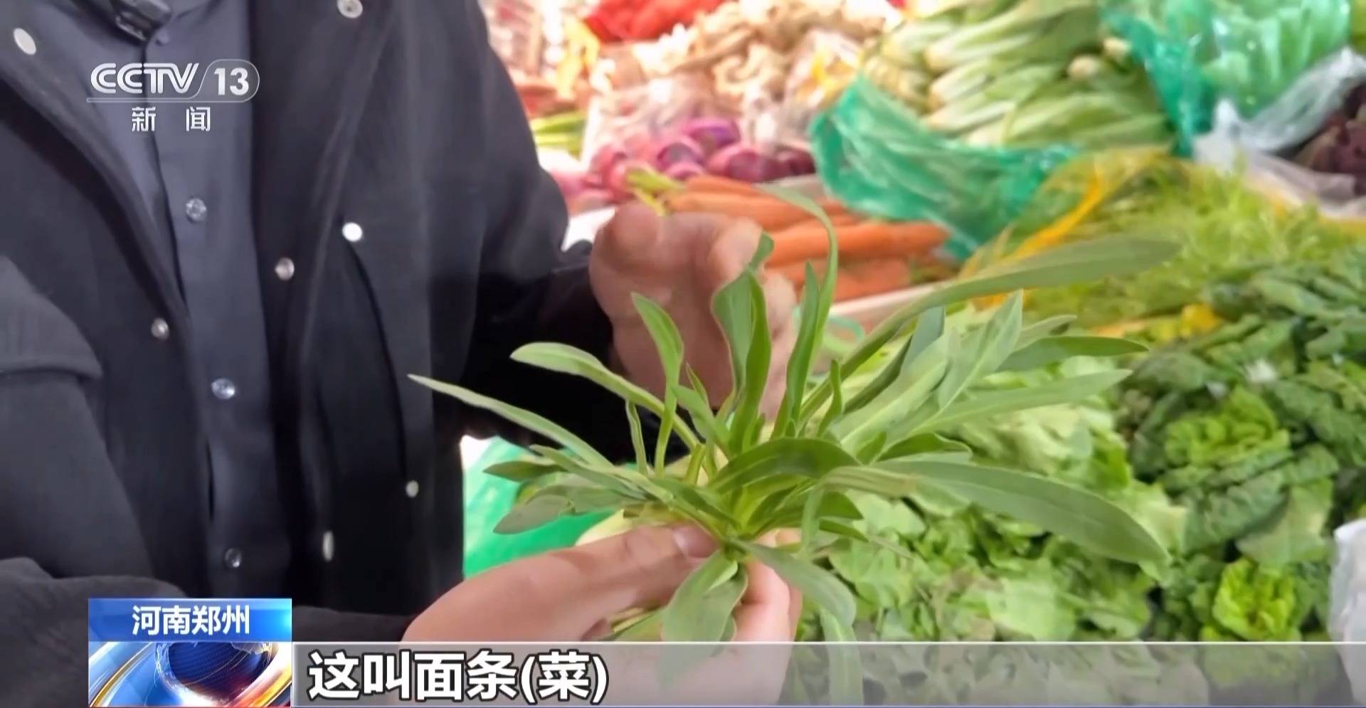 蒸、煎、拌、酿……一口鲜菜如何“锁”住春天？