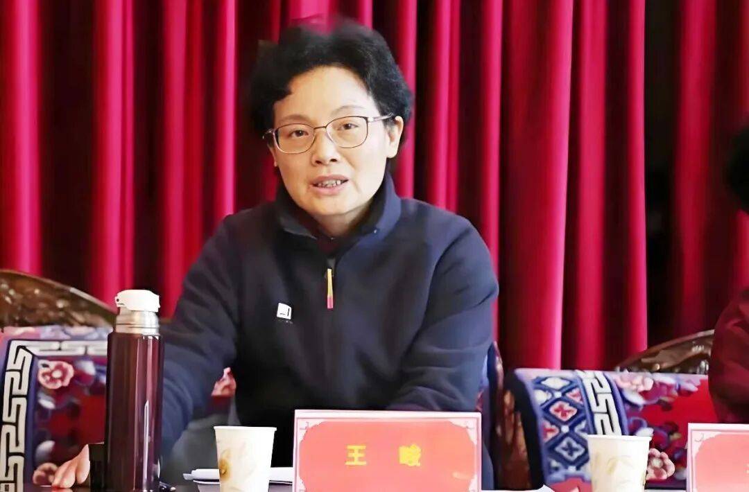 严重违纪违法！西藏自治区人大常委会原党组副书记、副主任王峻被“双开”